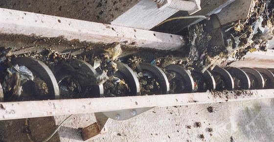 আরবান ওয়াটার প্ল্যান্টের জন্য একক শ্যাফ্ট স্ক্রু বেল্ট কনভেয়র