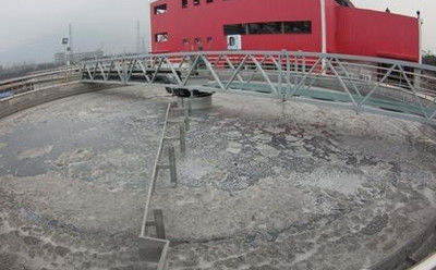 পেরিফেরাল ট্রান্সমিশন স্লজ স্ক্র্যাপ সিস্টেম, স্টেইনলেস স্টিল বটম স্ল্যাজ স্ক্র্যাপার