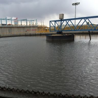 পেরিফেরাল ট্রান্সমিশন স্লজ স্ক্র্যাপ সিস্টেম, স্টেইনলেস স্টিল বটম স্ল্যাজ স্ক্র্যাপার